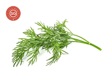 Aromatic Herbs